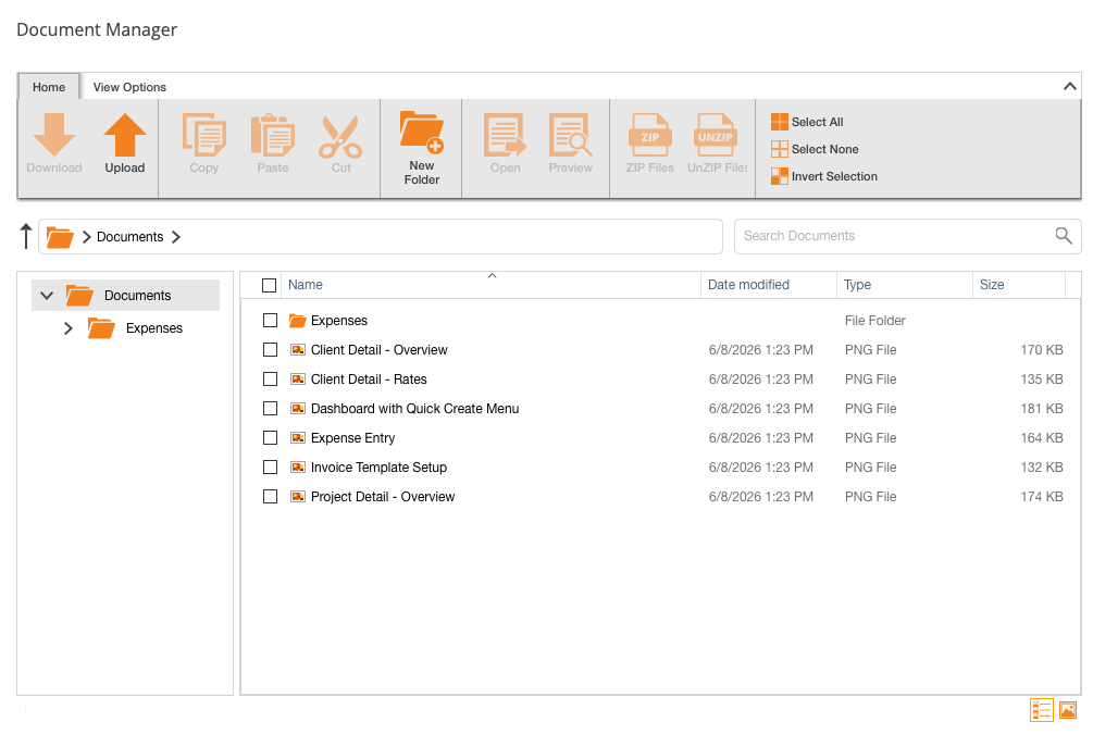Document Manager
